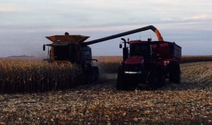 big farm mobile harvest help fertile corn